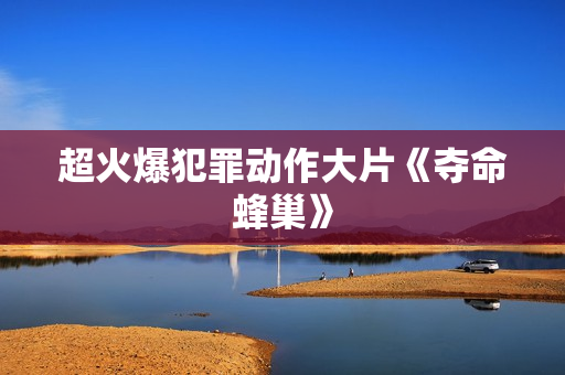 超火爆犯罪动作大片《夺命蜂巢》