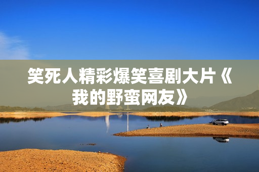 笑死人精彩爆笑喜剧大片《我的野蛮网友》