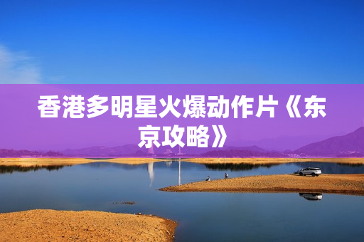 香港多明星火爆动作片《东京攻略》