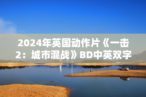 2024年英国动作片《一击2：城市混战》BD中英双字
