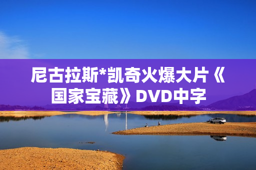尼古拉斯*凯奇火爆大片《国家宝藏》DVD中字