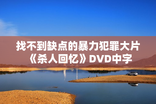找不到缺点的暴力犯罪大片《杀人回忆》DVD中字