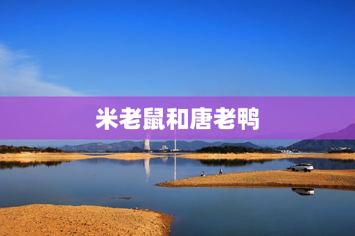 米老鼠和唐老鸭