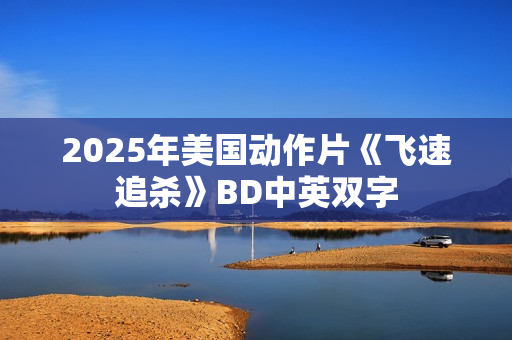2025年美国动作片《飞速追杀》BD中英双字