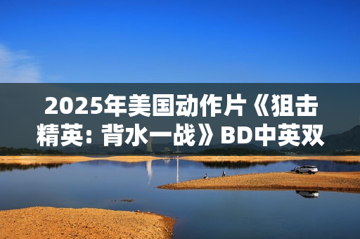 2025年美国动作片《狙击精英: 背水一战》BD中英双字