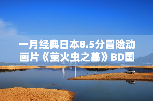 一月经典日本8.5分冒险动画片《萤火虫之墓》BD国粤日3语中字
