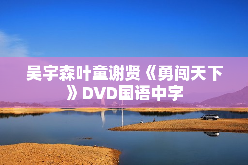 吴宇森叶童谢贤《勇闯天下》DVD国语中字