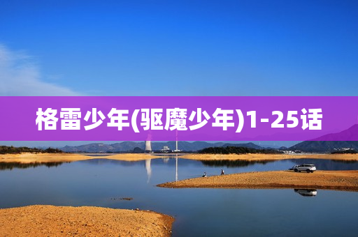 格雷少年(驱魔少年)1-25话