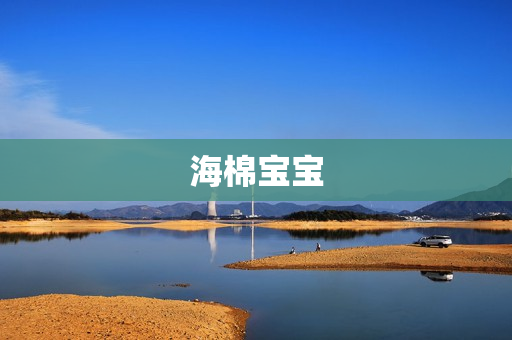 海棉宝宝