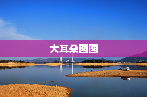 大耳朵图图