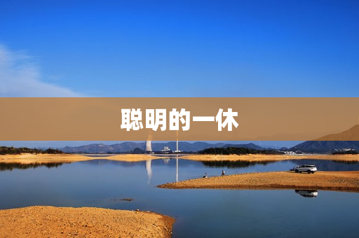 聪明的一休
