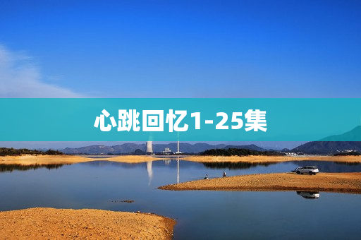 心跳回忆1-25集