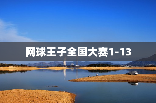 网球王子全国大赛1-13