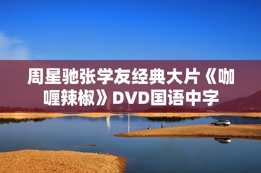 周星驰张学友经典大片《咖喱辣椒》DVD国语中字