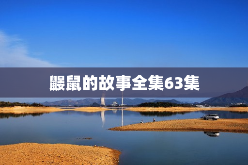 鼹鼠的故事全集63集