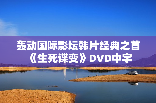 轰动国际影坛韩片经典之首《生死谍变》DVD中字