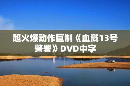 超火爆动作巨制《血溅13号警署》DVD中字
