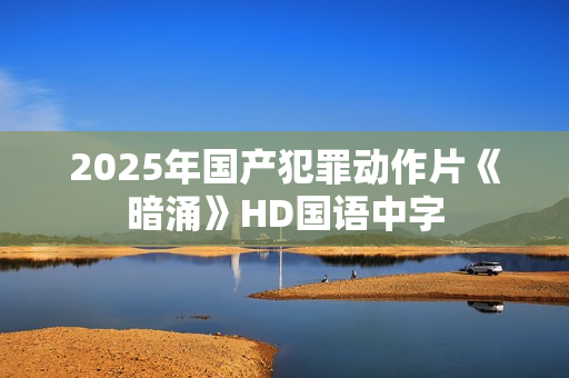 2025年国产犯罪动作片《暗涌》HD国语中字