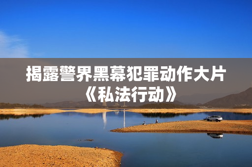 揭露警界黑幕犯罪动作大片《私法行动》