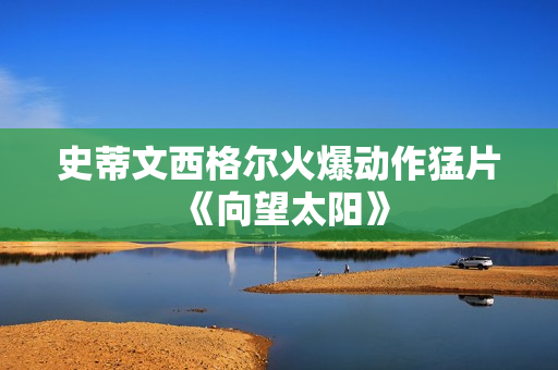 史蒂文西格尔火爆动作猛片《向望太阳》