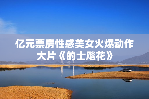 亿元票房性感美女火爆动作大片《的士飚花》