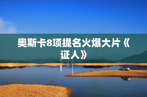 奥斯卡8项提名火爆大片《证人》