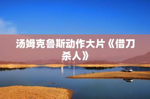 汤姆克鲁斯动作大片《借刀杀人》