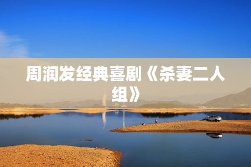 周润发经典喜剧《杀妻二人组》