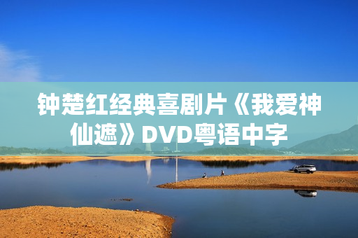 钟楚红经典喜剧片《我爱神仙遮》DVD粤语中字