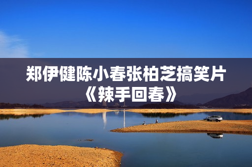 郑伊健陈小春张柏芝搞笑片《辣手回春》