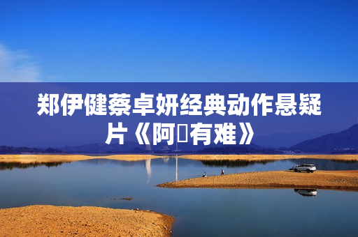 郑伊健蔡卓妍经典动作悬疑片《阿孖有难》