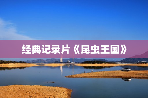 经典记录片《昆虫王国》