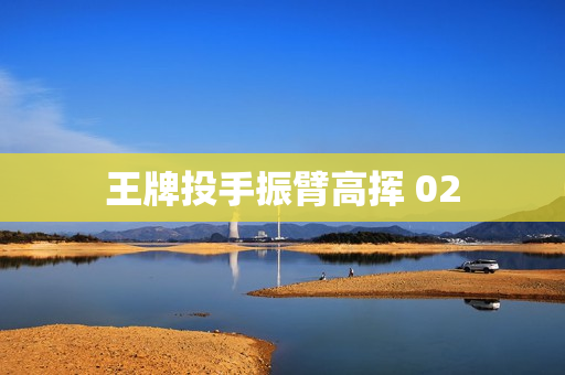 王牌投手振臂高挥 02