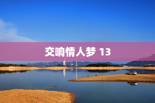 交响情人梦 13
