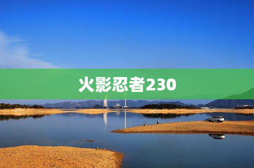 火影忍者230