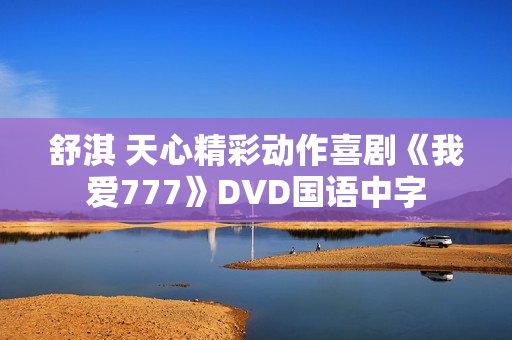 舒淇 天心精彩动作喜剧《我爱777》DVD国语中字