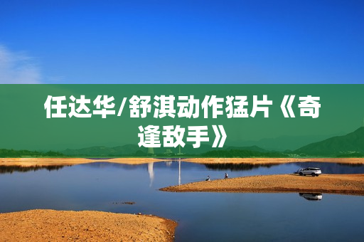 任达华/舒淇动作猛片《奇逢敌手》