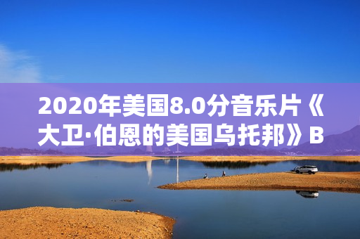 2020年美国8.0分音乐片《大卫·伯恩的美国乌托邦》BD中英双字