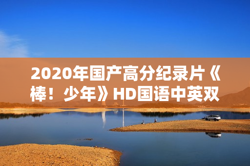 2020年国产高分纪录片《棒！少年》HD国语中英双字