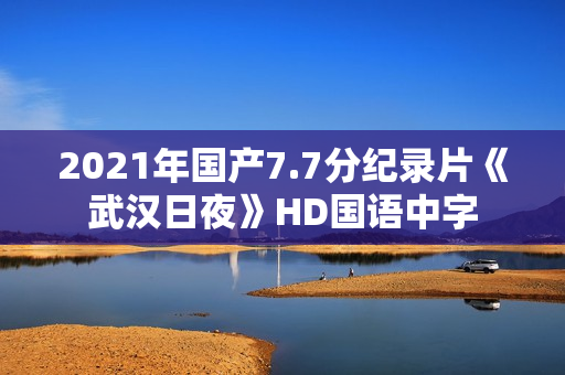 2021年国产7.7分纪录片《武汉日夜》HD国语中字