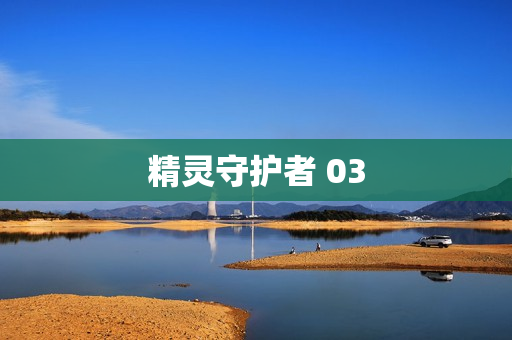 精灵守护者 03