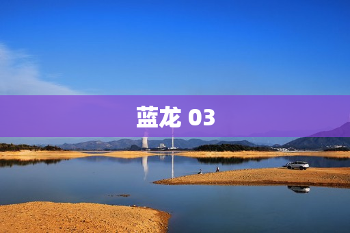 蓝龙 03