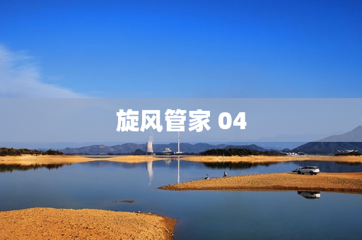 旋风管家 04