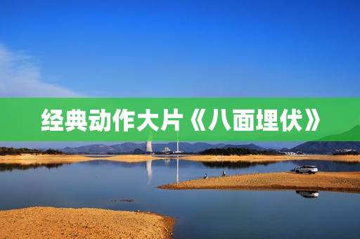 经典动作大片《八面埋伏》