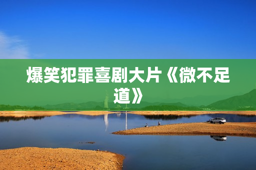 爆笑犯罪喜剧大片《微不足道》