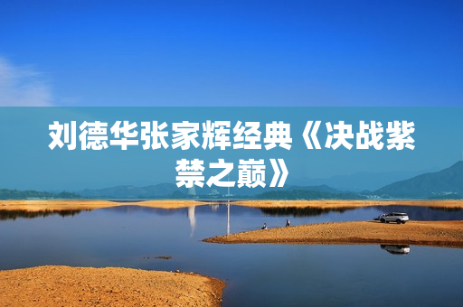 刘德华张家辉经典《决战紫禁之巅》