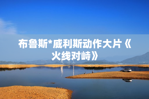 布鲁斯*威利斯动作大片《火线对峙》