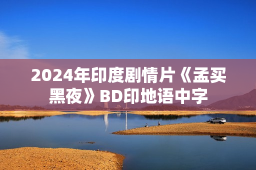 2024年印度剧情片《孟买黑夜》BD印地语中字