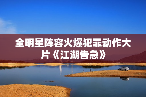全明星阵容火爆犯罪动作大片《江湖告急》