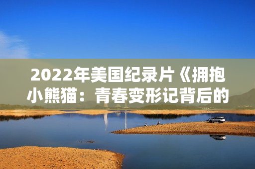 2022年美国纪录片《拥抱小熊猫：青春变形记背后的故事》BD中字
